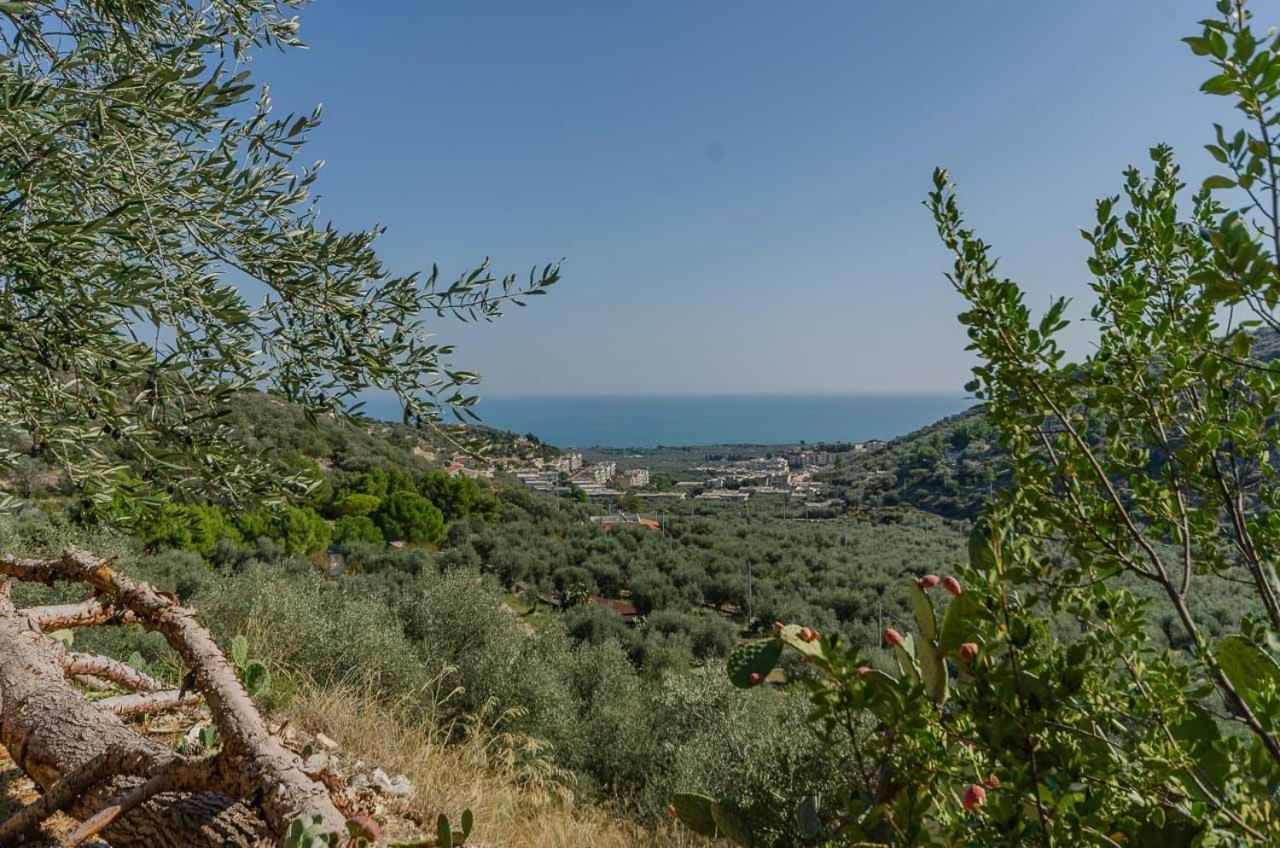 Agriturismo Madonna Incoronata Mattinata Exteriör bild